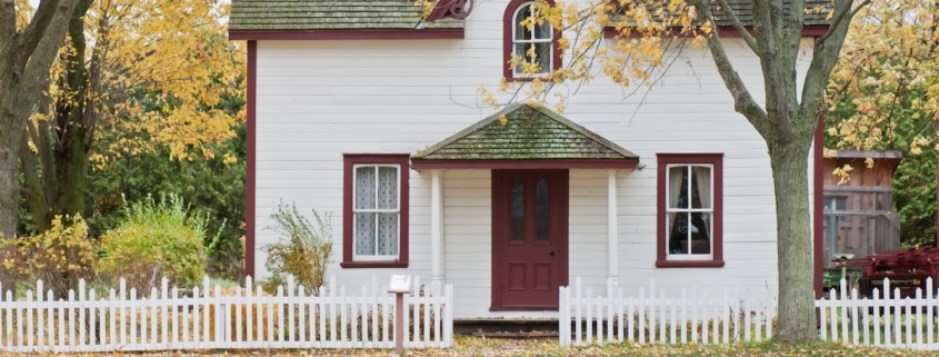 white house under maple trees