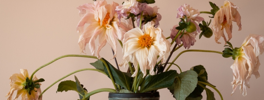 pink and white flowers in blue ceramic vase