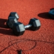 pair of black dumbbells